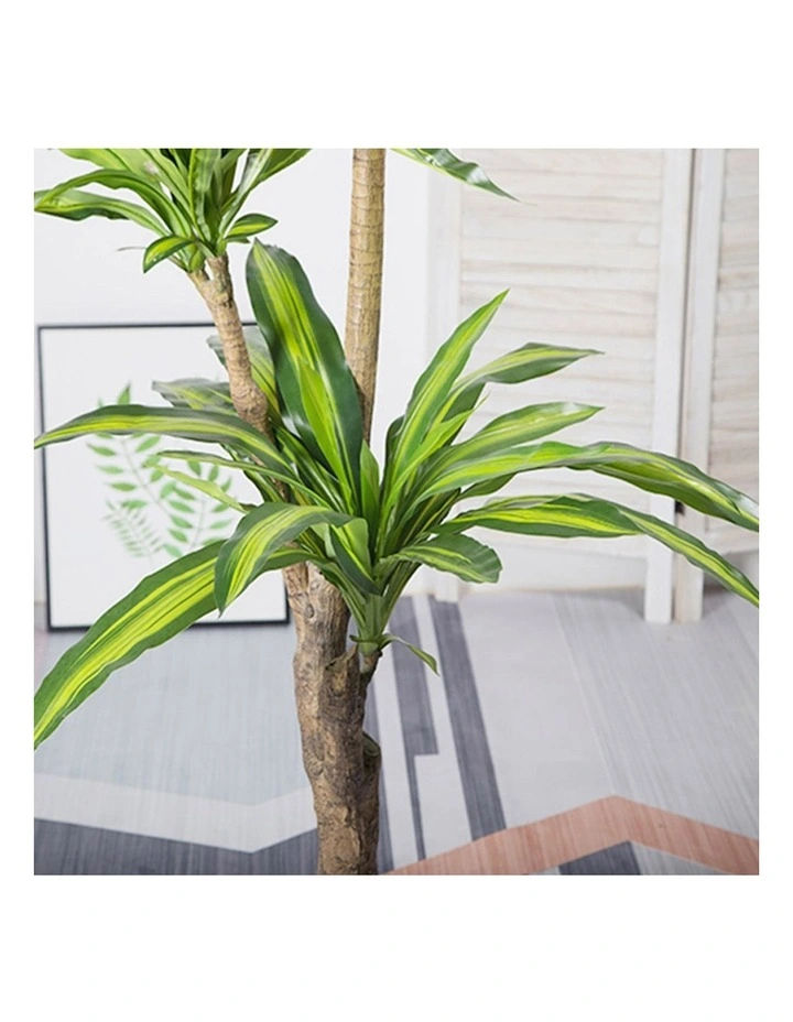 SOGA 2 Pack Dracaena Brazilian Iron Artificial Tree 180cm image 4