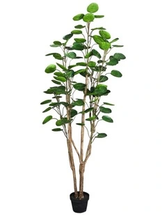 SOGA Polyscias Pocket Money Artificial Plant With Pot 180cm