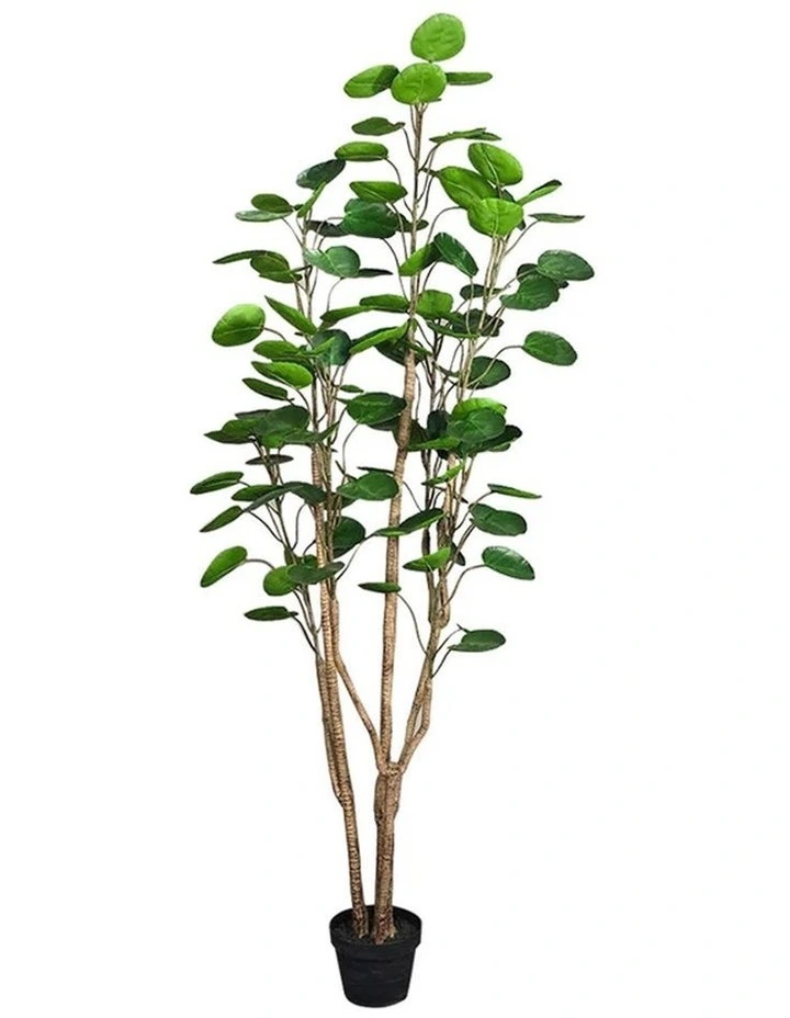 SOGA Polyscias Pocket Money Artificial Plant With Pot 180cm image 1