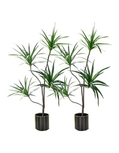 SOGA 2 Pack Dracaena Brazilian Iron Artificial Tree 180cm