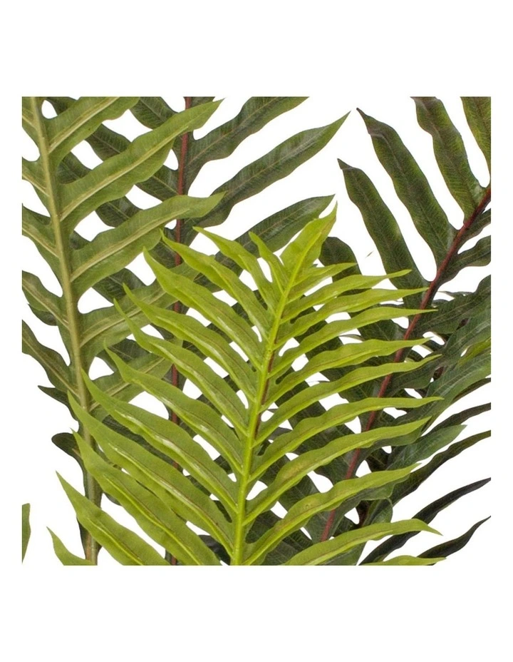 SOGA 2 Pack Hares Foot Fern Artificial Plant 180cm image 5