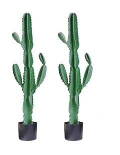 SOGA 2 Pack Cactus Artificial Plant 120cm