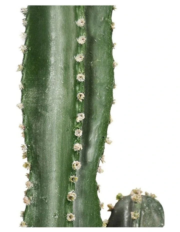 SOGA 2 Pack Cactus Artificial Plant 120cm image 3