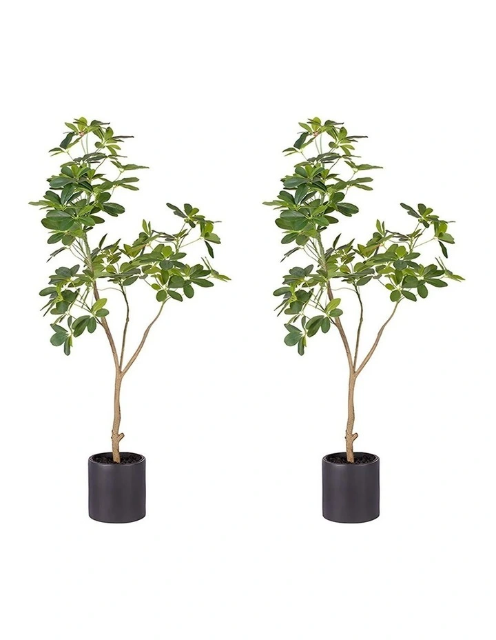 SOGA 2 Pack Schefflera Artificial Tree 120cm image 1