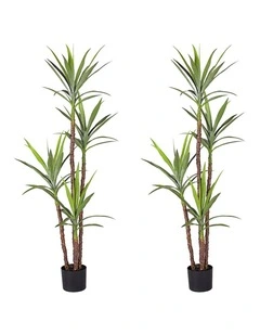 SOGA 2 Pack Dracaena Yucca Artificial Plant 180cm