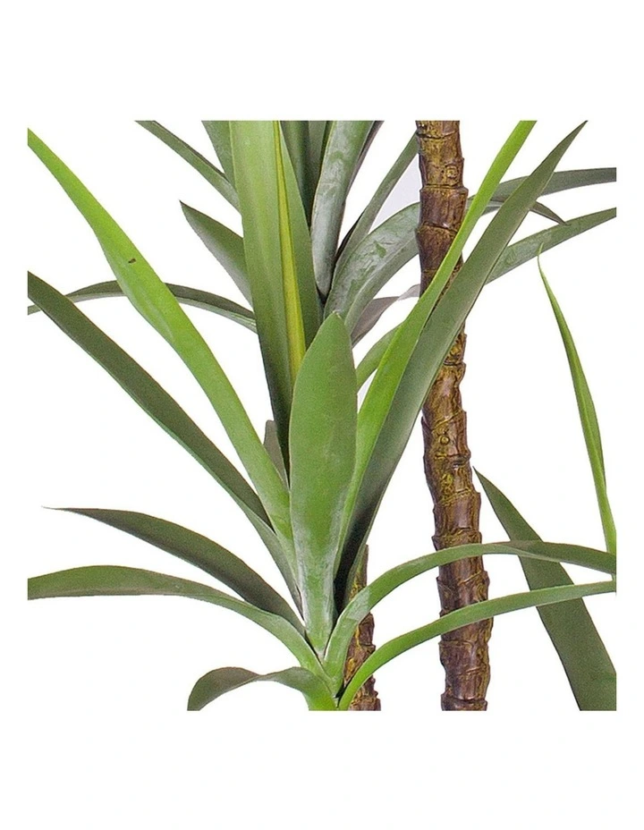 SOGA 2 Pack Dracaena Yucca Artificial Plant 180cm image 5
