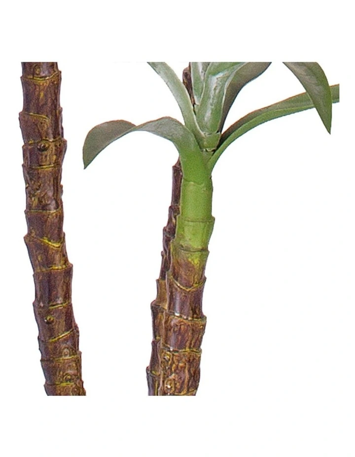 SOGA 2 Pack Dracaena Yucca Artificial Plant 180cm image 6