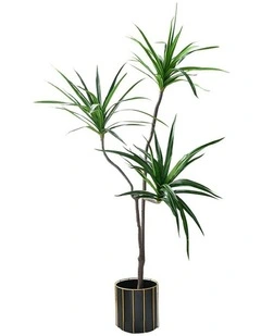 SOGA Dracaena Brazilian Iron Artificial Tree 3 Heads 180cm