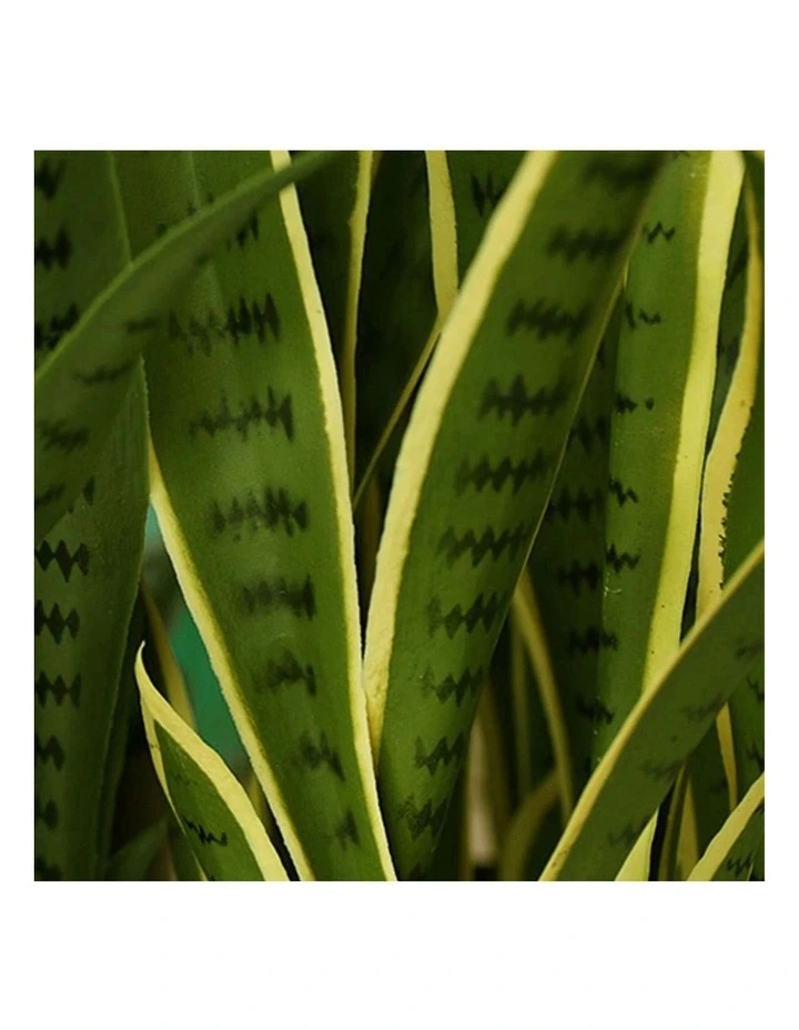 SOGA 2 Pack Yellow Edge Tiger Piran Artificial Plant With Pot 70cm image 5