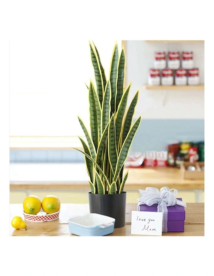 SOGA 2 Pack Yellow Edge Tiger Piran Artificial Plant With Pot 70cm image 7