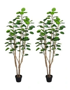 SOGA 2 Pack Polyscias Pocket Money Artificial Plant 180cm