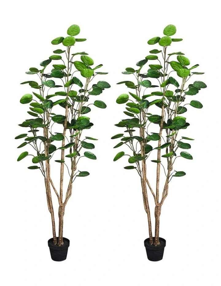 SOGA 2 Pack Polyscias Pocket Money Artificial Plant 180cm image 1