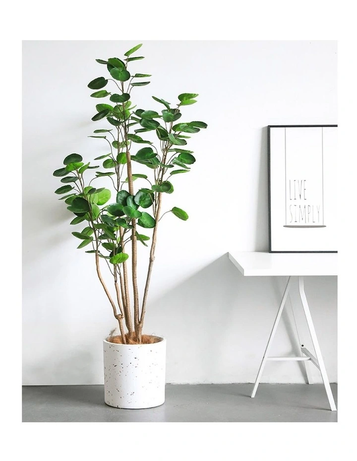 SOGA 2 Pack Polyscias Pocket Money Artificial Plant 180cm image 3