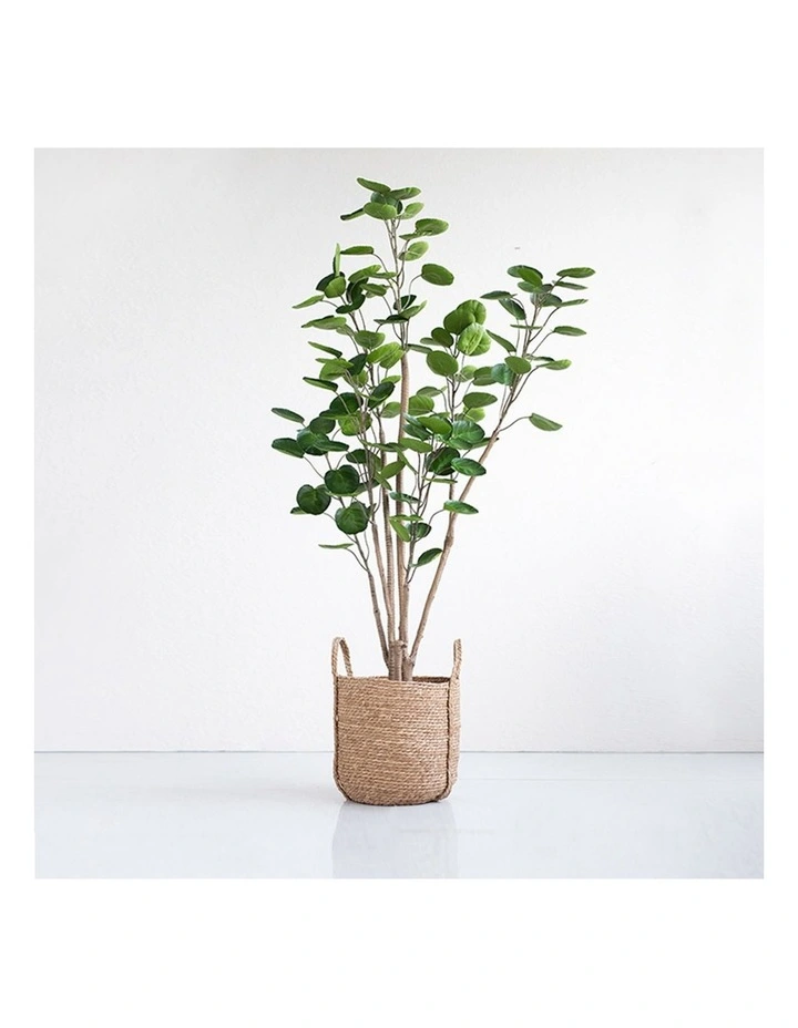 SOGA 2 Pack Polyscias Pocket Money Artificial Plant 180cm image 4