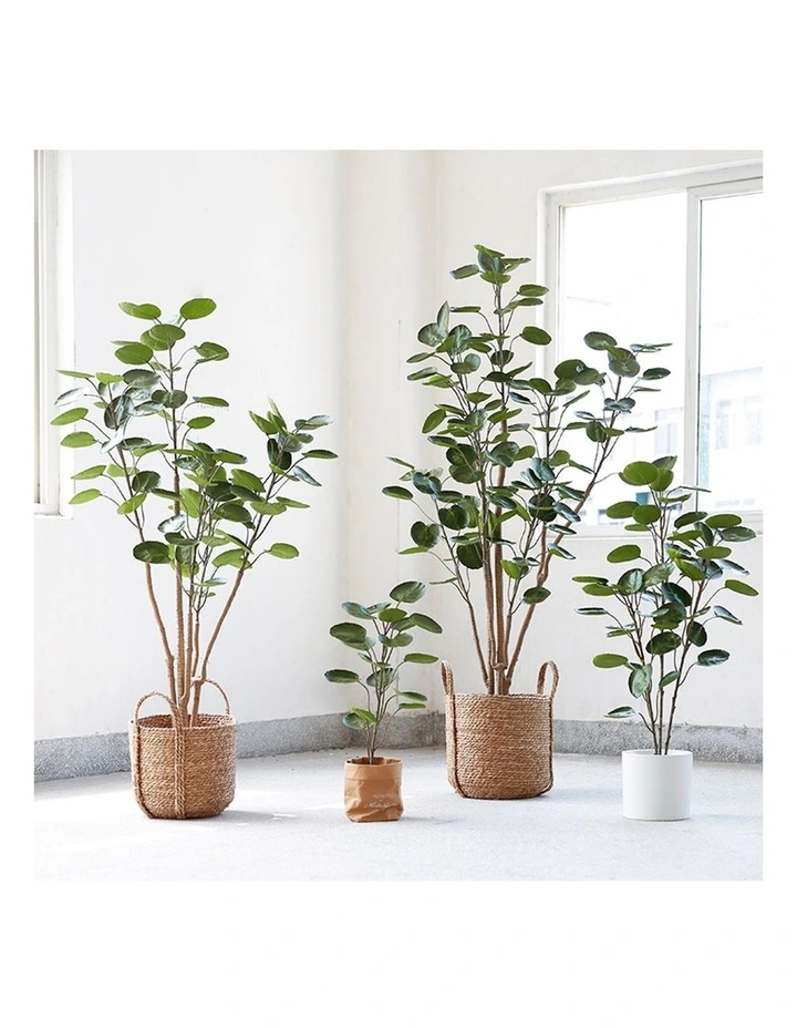 SOGA 2 Pack Polyscias Pocket Money Artificial Plant 180cm image 5