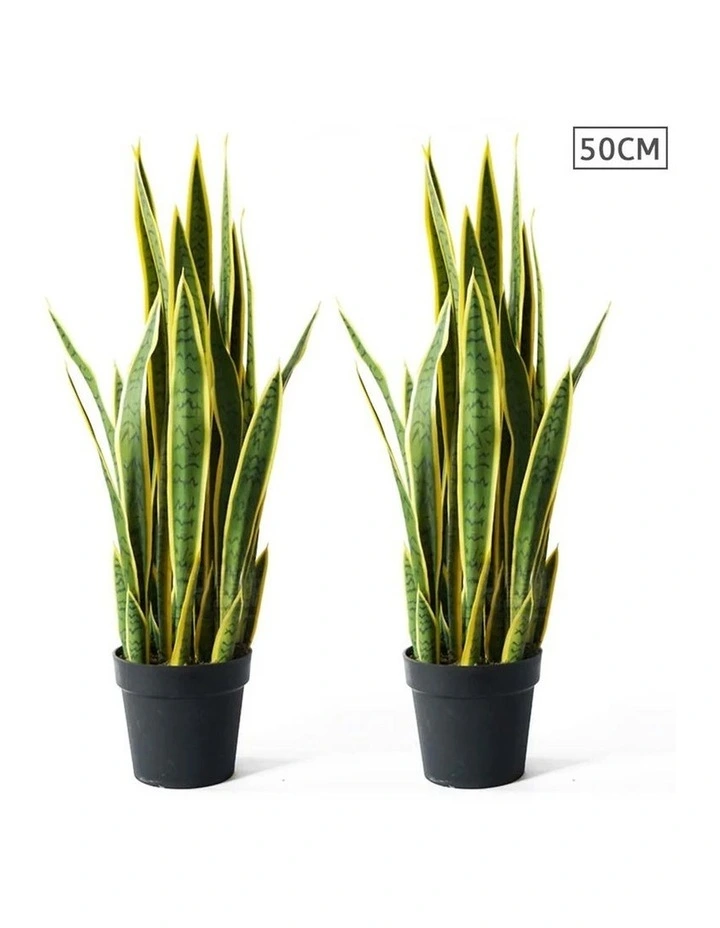 SOGA 2 Pack Yellow Edge Tiger Piran Artificial Plant 50cm image 1