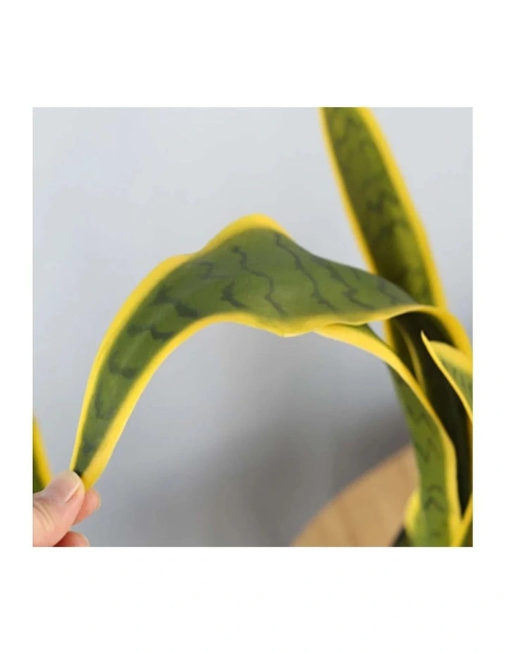 SOGA 2 Pack Yellow Edge Tiger Piran Artificial Plant 50cm image 3