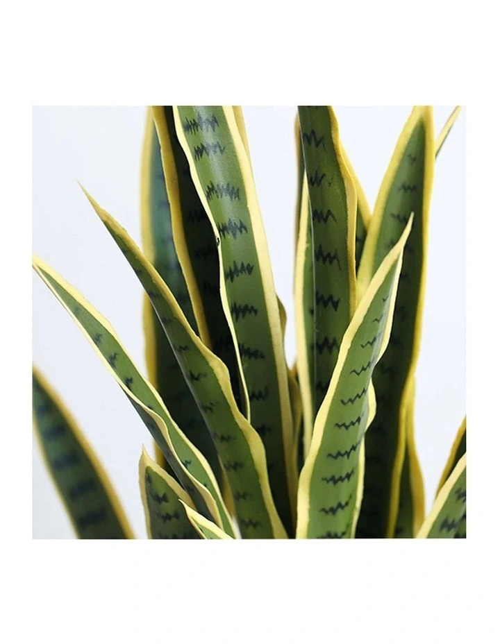 SOGA 2 Pack Yellow Edge Tiger Piran Artificial Plant 50cm image 4