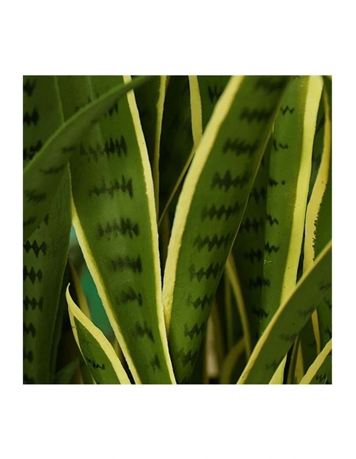 SOGA 2 Pack Yellow Edge Tiger Piran Artificial Plant 50cm image 5