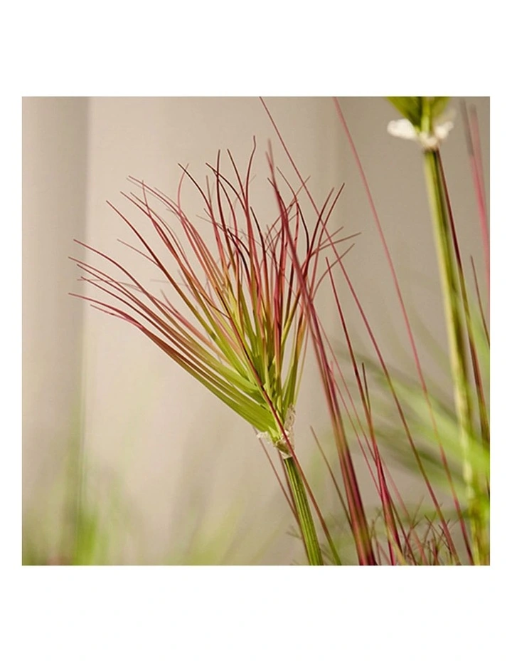SOGA 2 Pack Purple Red Papyrus Artificial Plant 150cm image 6