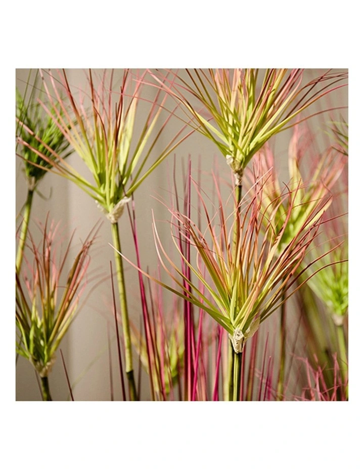 SOGA 2 Pack Purple Red Papyrus Artificial Plant 150cm image 7