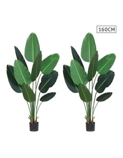 SOGA 2 Pack Traveler Banana Artificial Plant 160cm