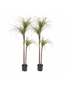 SOGA 2 Pack Dragon Blood Artificial Tree 145cm