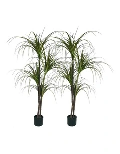SOGA 2 Pack Dragon Blood Artificial Tree 150cm