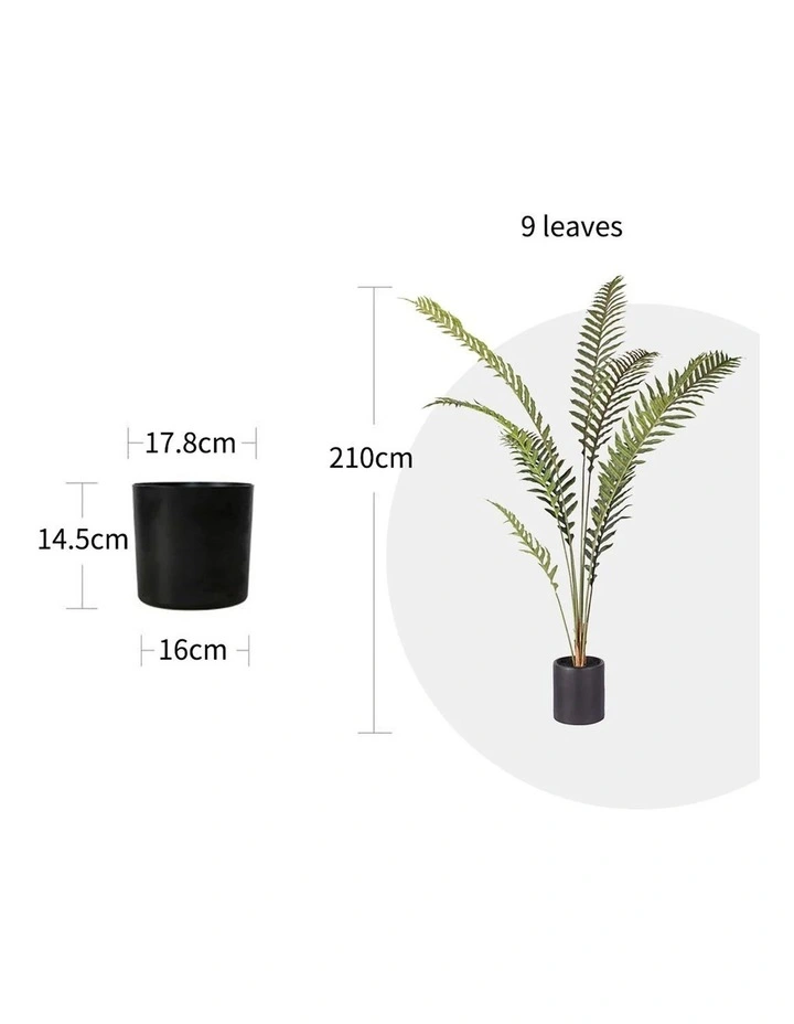 SOGA 2 Pack Hares Foot Fern Artificial Plant 210cm image 2