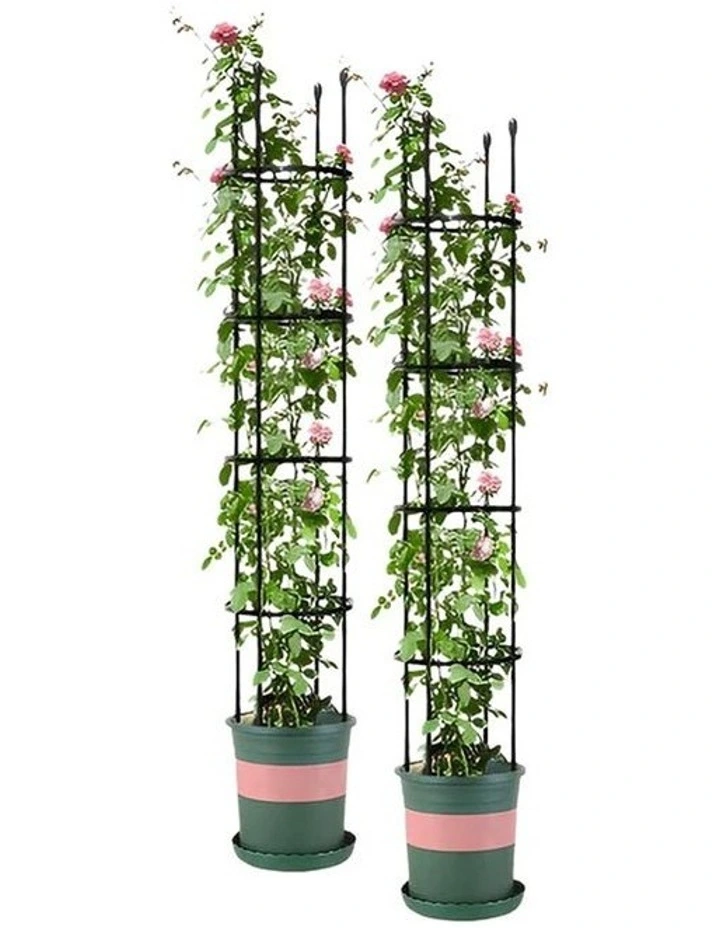 SOGA 2X 163cm 4-Bar Plant Trellis Stand with Rings for Vegetables Flowers & Vines image 1