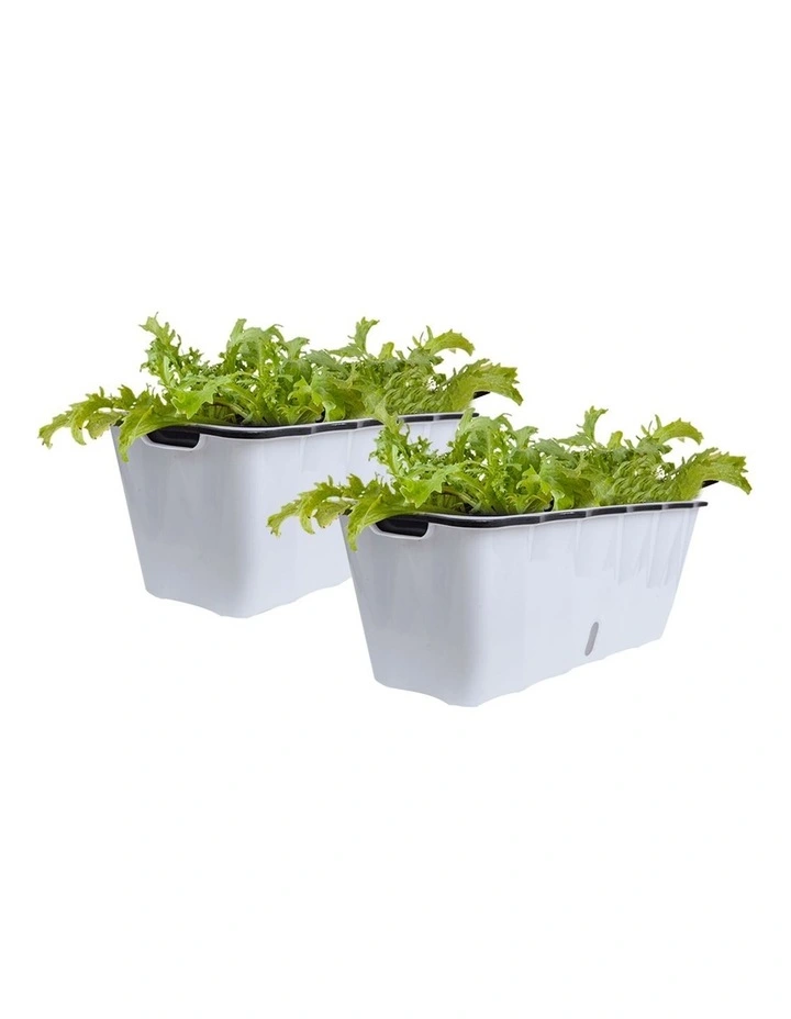 SOGA 2X Large White Rectangular Flowerpot Vegetable Herb Flower Outdoor Plastic Box Garden Decor image 1