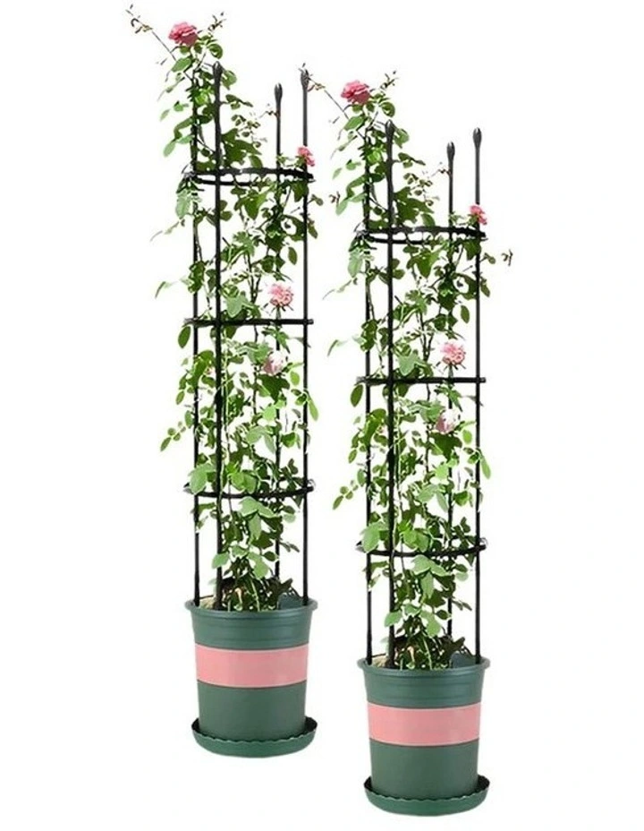 SOGA 2X 133cm 4-Bar Plant Trellis Stand with Rings for Vegetables Flowers & Vines image 1