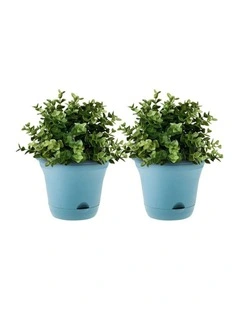 SOGA 19.5cm Blue Self-Watering Plant Pot Plastic Planter Set of 2