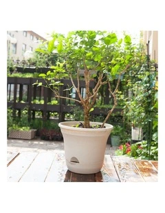 SOGA 19.5cm White Plastic Plant Pot Self Watering Planter