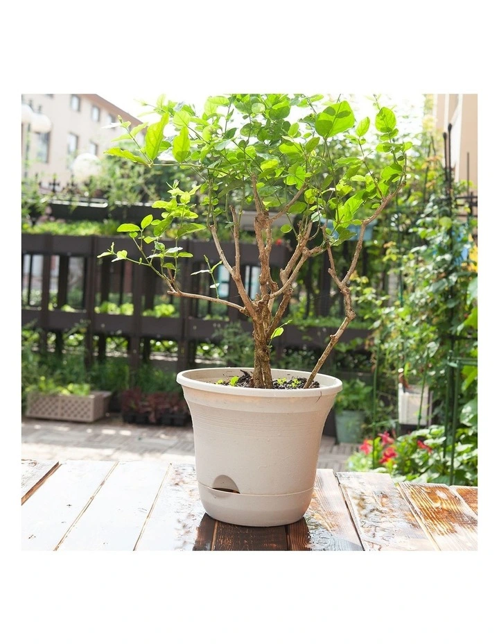 SOGA 19.5cm White Plastic Plant Pot Self Watering Planter image 1