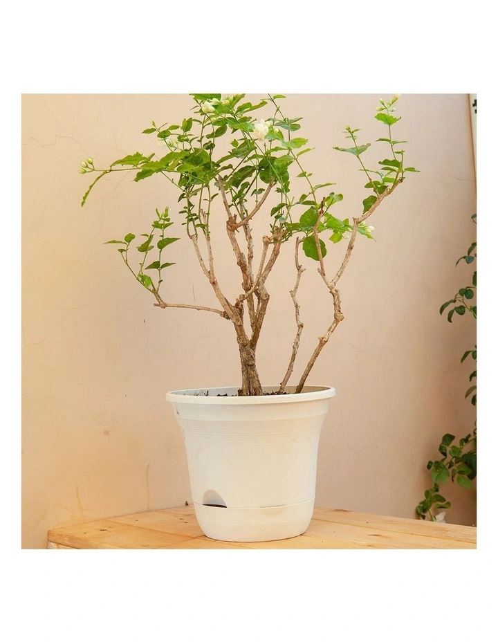 SOGA 19.5cm White Plastic Plant Pot Self Watering Planter image 2