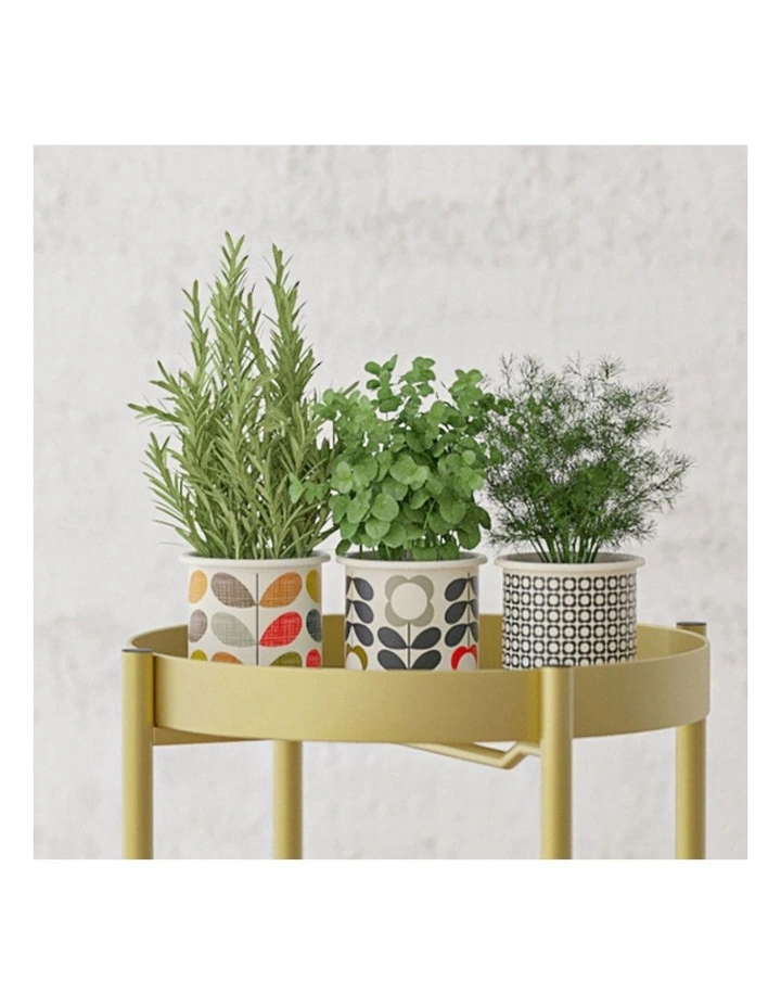 SOGA 4X 2 Layer 80cm Gold Metal Plant Stand Flower Pot Holder Corner Shelving Rack Indoor Display image 5