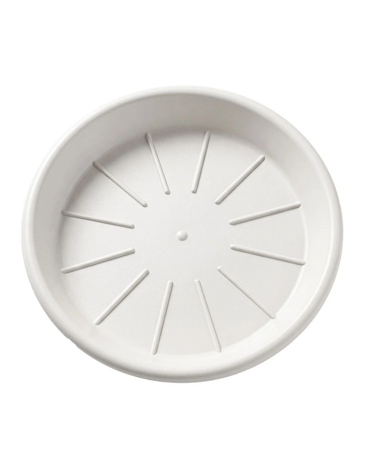 Toque Plant Pots 5 Pcs 8 Inchs Plastic Planter Pots with Drainage Saucers White image 6
