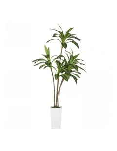 Lambu Artificial Dracaena Tree Lifelike Fake Leaves Artificial Plants Indoors