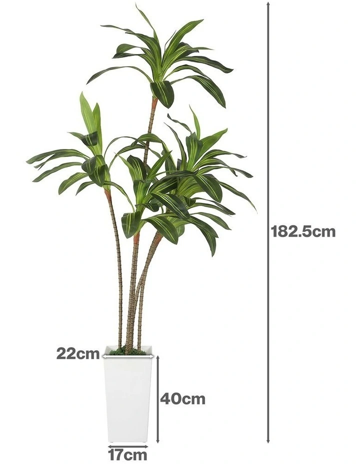 Lambu Artificial Dracaena Tree Lifelike Fake Leaves Artificial Plants Indoors image 3