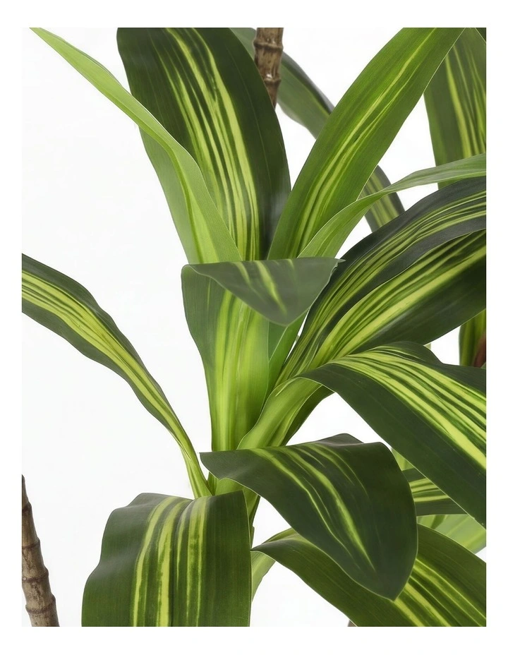 Lambu Artificial Dracaena Tree Lifelike Fake Leaves Artificial Plants Indoors image 4