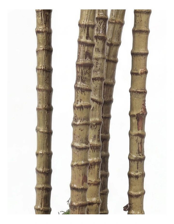 Lambu Artificial Dracaena Tree Lifelike Fake Leaves Artificial Plants Indoors image 6