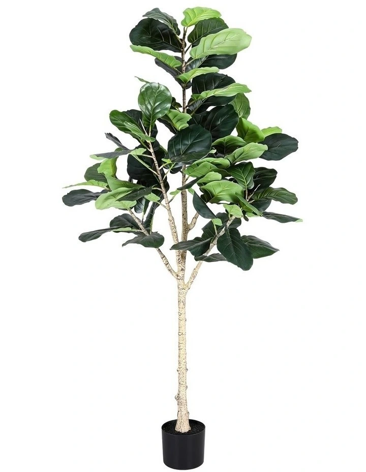 Artiss 180cm Artificial Fiddle Tree Faux Trees Indoor Decor Artificial Plants Lifelike Plant 1.8M image 1