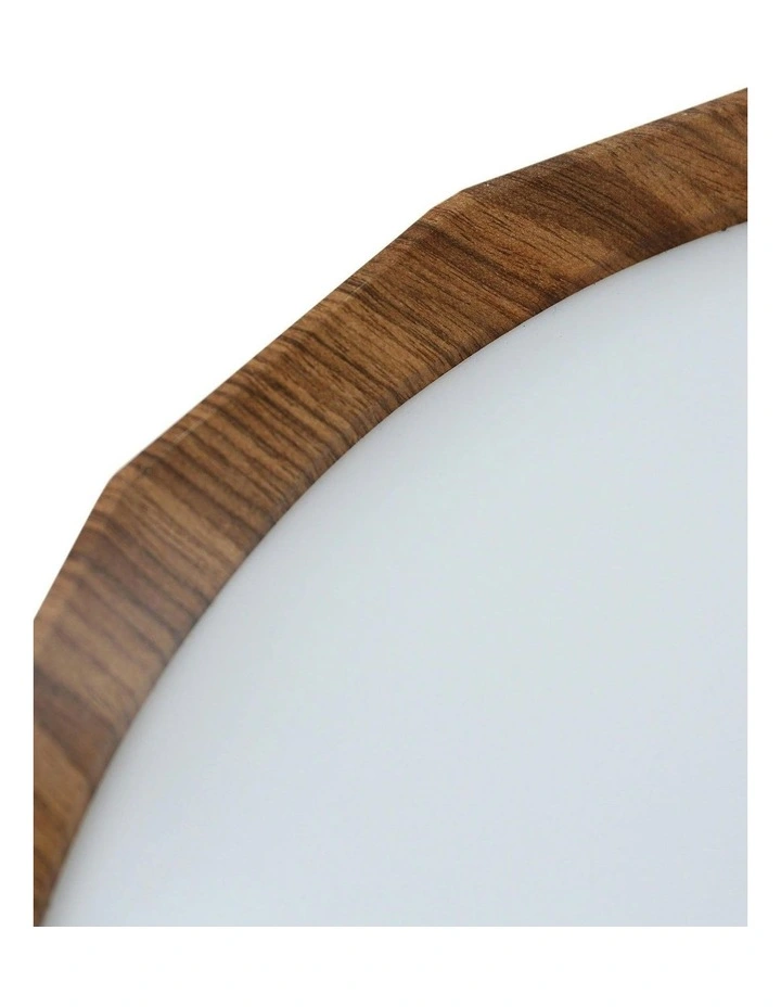 Irene CCT LED Ceiling Light - Large image 7