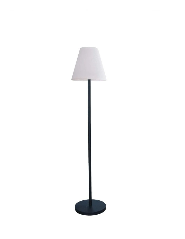 150CM LED Floor Lamp Solar DC image 2