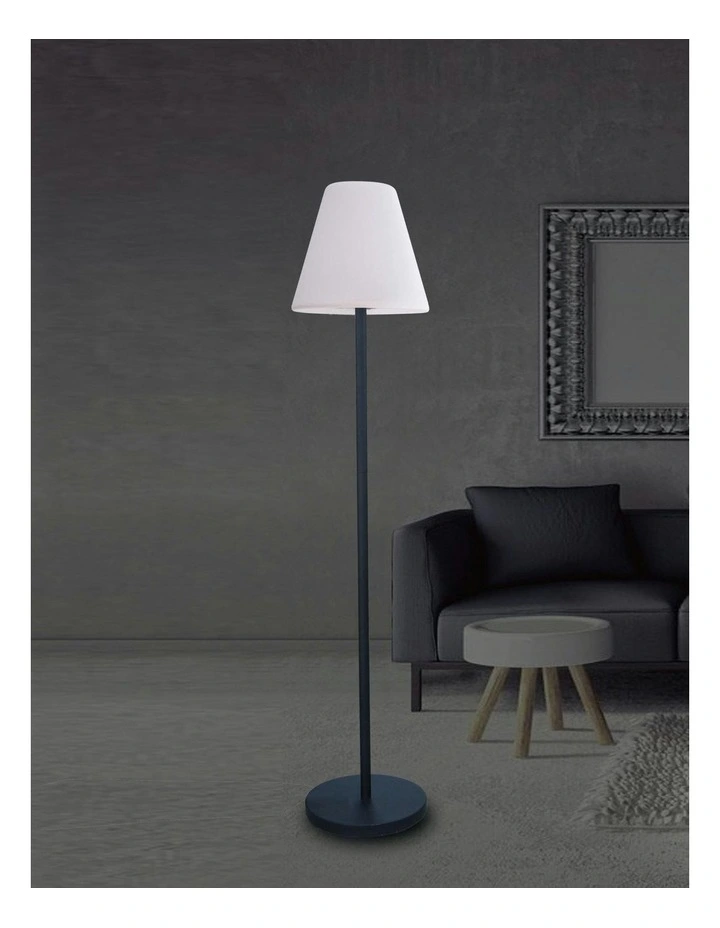 150CM LED Floor Lamp Solar DC image 3