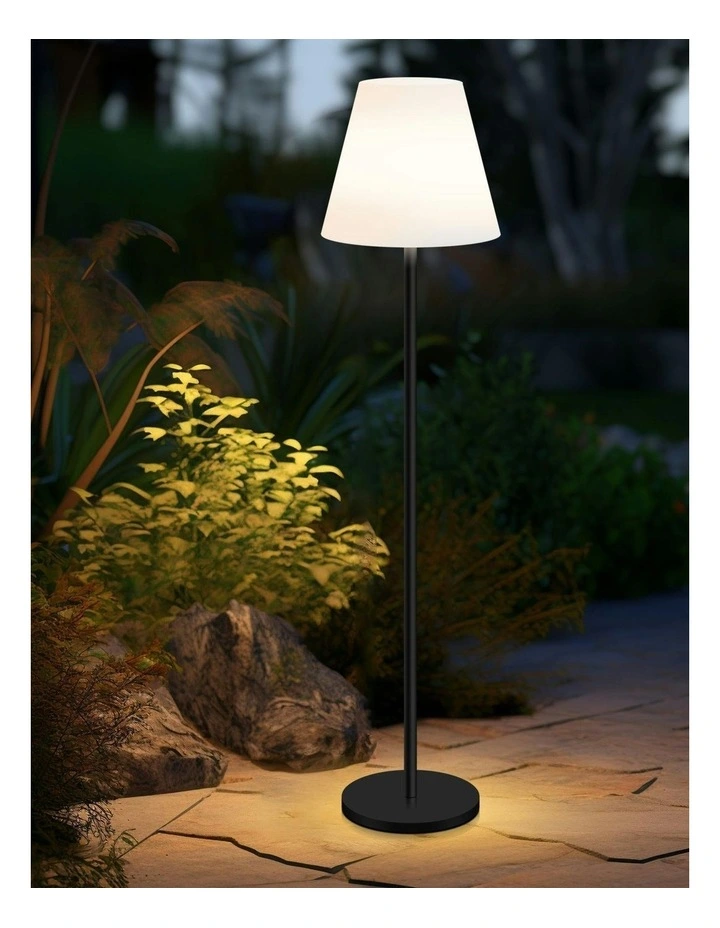 150CM LED Floor Lamp Solar DC image 5