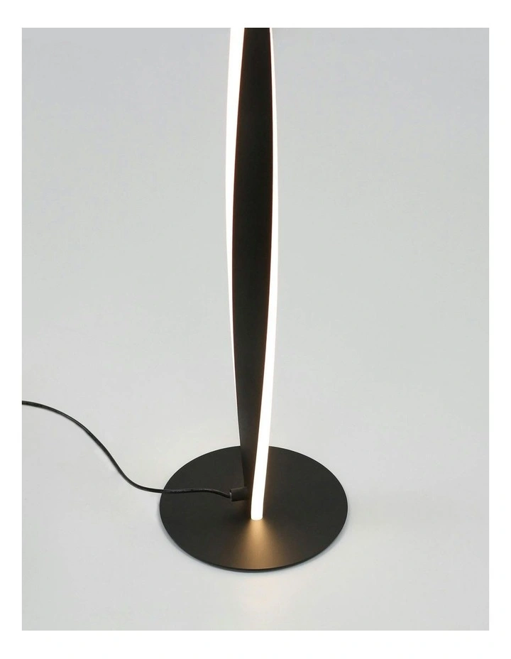 Enhalus LED Floor Lamp - Black image 5