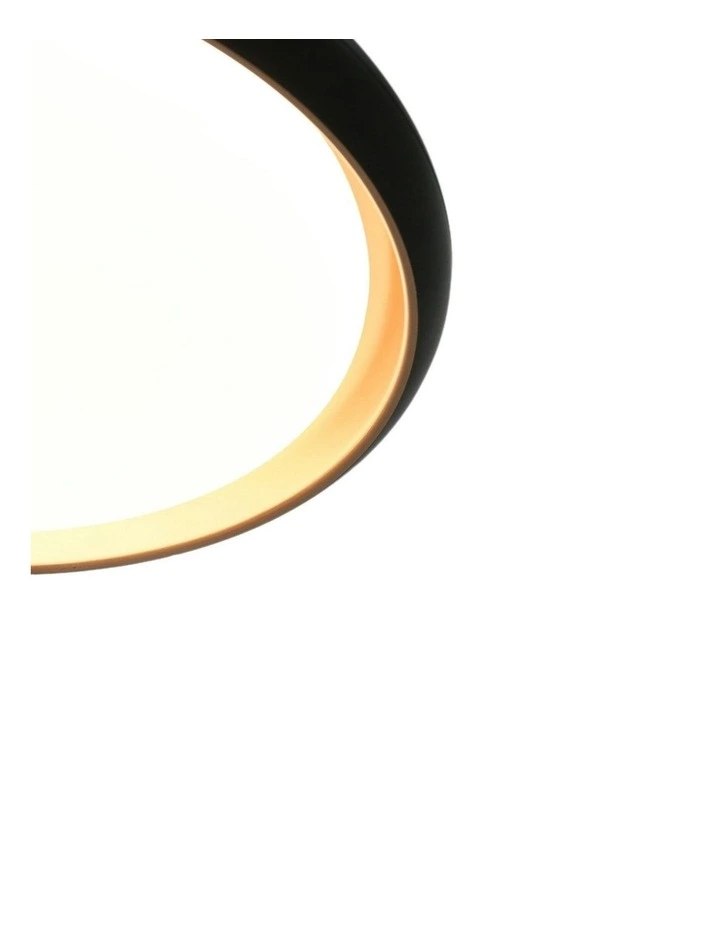 Melanie Ceiling Light - Black image 4