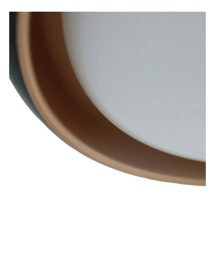 Melanie Ceiling Light - Black image 5